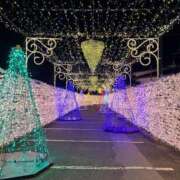 ヒメ日記 2025/12/31 21:57 投稿 姫宮くるみ -NEO-皇帝別館（中央街）