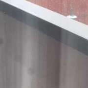 ヒメ日記 2026/02/08 10:47 投稿 姫宮くるみ -NEO-皇帝別館（中央街）