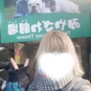 ヒメ日記 2026/03/11 21:27 投稿 姫宮くるみ -NEO-皇帝別館（中央街）