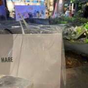 ヒメ日記 2026/04/24 10:57 投稿 姫宮くるみ -NEO-皇帝別館（中央街）