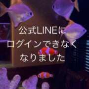 ヒメ日記 2026/07/02 19:57 投稿 姫宮くるみ -NEO-皇帝別館（中央街）
