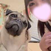 ヒメ日記 2026/03/13 12:01 投稿 りり 千葉メイドリーム（ユメオト）