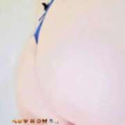 ヒメ日記 2025/11/26 01:21 投稿 らん MOTHER(旧ママとおねえさん)