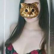 ヒメ日記 2025/12/11 17:31 投稿 らん MOTHER(旧ママとおねえさん)