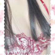 ヒメ日記 2026/03/16 22:11 投稿 らん MOTHER(旧ママとおねえさん)