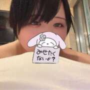 ヒメ日記 2025/11/14 16:24 投稿 れぜ 奴隷コレクション梅田店