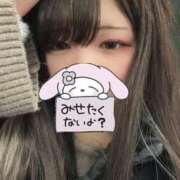 ヒメ日記 2025/11/14 22:34 投稿 れぜ 奴隷コレクション梅田店