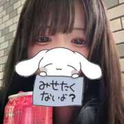 ヒメ日記 2025/11/16 02:50 投稿 れぜ 奴隷コレクション梅田店