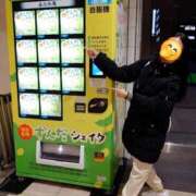 ヒメ日記 2025/11/17 07:49 投稿 さゆり One More奥様　立川店