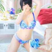 ヒメ日記 2025/11/17 12:25 投稿 みいこ 愛媛松山ちゃんこ