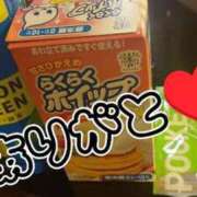 ヒメ日記 2025/11/23 12:49 投稿 みいこ 愛媛松山ちゃんこ