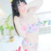 ヒメ日記 2025/12/05 16:39 投稿 みいこ 愛媛松山ちゃんこ