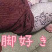 ヒメ日記 2025/12/15 11:32 投稿 みいこ 愛媛松山ちゃんこ