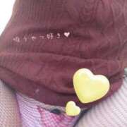 ヒメ日記 2025/12/26 15:29 投稿 みいこ 愛媛松山ちゃんこ