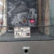 ヒメ日記 2026/01/17 19:39 投稿 みいこ 愛媛松山ちゃんこ