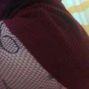 ヒメ日記 2026/02/11 15:49 投稿 みいこ 愛媛松山ちゃんこ