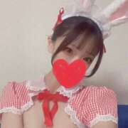 ヒメ日記 2025/11/12 16:05 投稿 まりん マリン宮殿水戸店