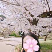 ヒメ日記 2026/04/02 07:49 投稿 さゆり One More奥様　八王子店