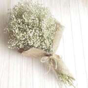 ヒメ日記 2025/11/22 15:14 投稿 美樹（み　き） ビッグバード