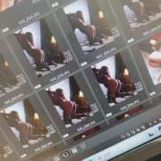 ヒメ日記 2025/11/26 11:21 投稿 美樹（み　き） ビッグバード