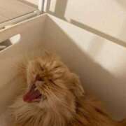 ヒメ日記 2025/12/15 15:14 投稿 美樹（み　き） ビッグバード