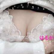 ヒメ日記 2025/11/21 20:16 投稿 はるか 俺のヤバい妻。(谷九)