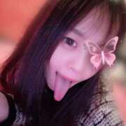 ヒメ日記 2025/11/18 00:01 投稿 みさ【プレミアム】 大人のゴシャール