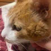 ヒメ日記 2025/11/10 14:41 投稿 ひろ 京都祇園・南インターちゃんこ