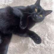 ヒメ日記 2025/11/11 14:03 投稿 ひろ 京都祇園・南インターちゃんこ