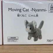 ヒメ日記 2025/11/13 15:17 投稿 ひろ 京都祇園・南インターちゃんこ