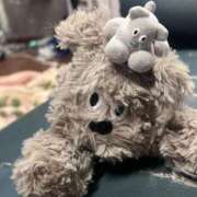 ヒメ日記 2025/11/15 23:00 投稿 ひろ 京都祇園・南インターちゃんこ