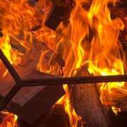 ヒメ日記 2025/11/17 15:45 投稿 ひろ 京都祇園・南インターちゃんこ