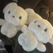 ヒメ日記 2025/11/17 20:00 投稿 ひろ 京都祇園・南インターちゃんこ