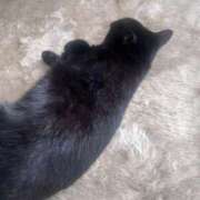 ヒメ日記 2025/11/20 18:21 投稿 ひろ 京都祇園・南インターちゃんこ