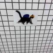 ヒメ日記 2025/11/26 01:04 投稿 ひろ 京都祇園・南インターちゃんこ