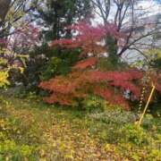 ヒメ日記 2025/11/28 10:18 投稿 ひろ 京都祇園・南インターちゃんこ