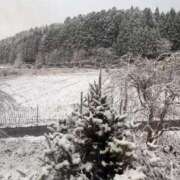 ひろ 初雪 京都祇園・南インターちゃんこ