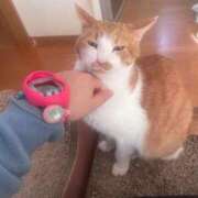 ヒメ日記 2025/12/06 13:00 投稿 ひろ 京都祇園・南インターちゃんこ