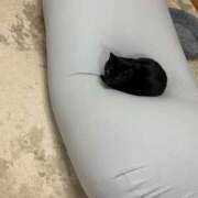 ヒメ日記 2025/12/09 18:46 投稿 ひろ 京都祇園・南インターちゃんこ