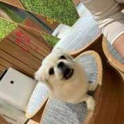 もこ やっとのやっとです🥺ᩚ ナメすぎサークル立川店