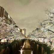 ヒメ日記 2026/07/14 02:52 投稿 つばめ One More奥様　横浜関内店