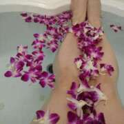 戸崎　圭衣 なかなか更新出来なくてごめんなさい。 熟女パラダイス池袋店(カサブランカグループ)