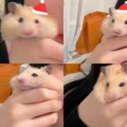 ヒメ日記 2025/12/22 16:36 投稿 みる E+アイドルスクール池袋店