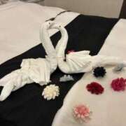 ヒメ日記 2025/12/19 14:16 投稿 岬 ひかり こあくまな熟女たち姫路店（KOAKUMAグループ）