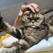 ヒメ日記 2025/11/26 19:46 投稿 尻好エリカ先生 トランス＠クリニック東京　新宿～出張　前立腺トリートメント