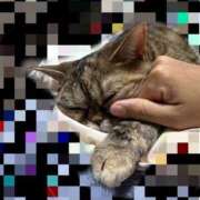 ヒメ日記 2025/12/14 13:39 投稿 尻好エリカ先生 トランス＠クリニック東京　新宿～出張　前立腺トリートメント