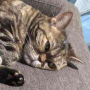 ヒメ日記 2025/12/21 02:22 投稿 尻好エリカ先生 トランス＠クリニック東京　新宿～出張　前立腺トリートメント