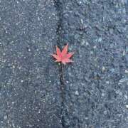 朝比奈　ひろみ おはようございます?? 熟女パラダイス岐阜羽島店（カサブランカグループ）