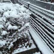 ヒメ日記 2026/01/12 07:17 投稿 朝比奈　ひろみ 熟女パラダイス岐阜羽島店（カサブランカグループ）