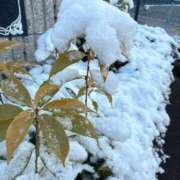 ヒメ日記 2026/01/23 09:09 投稿 朝比奈　ひろみ 熟女パラダイス岐阜羽島店（カサブランカグループ）